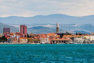 Discover the secrets of Koper and coastal towns on a private full-day tour