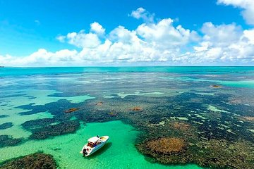 Full-Day Visit to Paripueira Beach and Tide Pools in Maceió