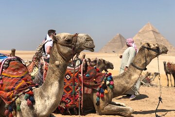 Amazing Day Tour to Cairo Highlights From Sharm ElSheikh By Plane