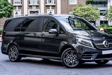 Arrival Transfer: Marco Polo Airport VCE to Venice (Luxury Van)