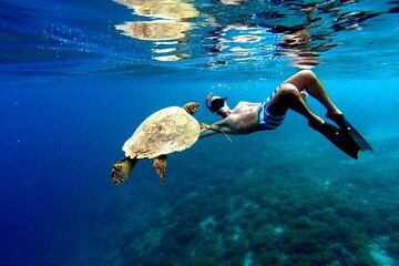 EXPERIENCE SWIMMING with the TURTLES and Discover the amazing Tulum Ruins tours.