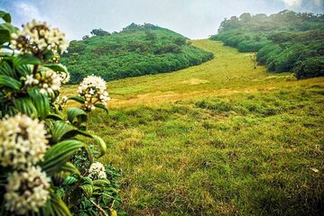 Camping in Ramboda