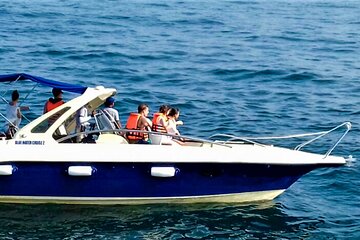 Whale Watching Shared Boat Tour from Bentota