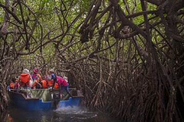 Bentota ~ Special private guide day tour; Solo ;Couple ;Group