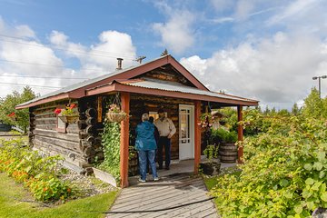 Alaskan Heritage and Sightseeing Tour in Fairbanks