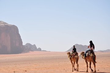 Arabian Horse/Camel Riding ;Private special guided tour