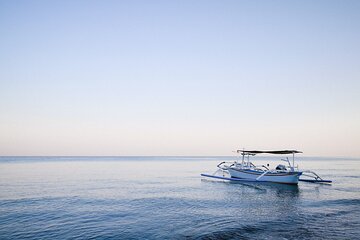 Lovina Dolphin Watching, Snorkeling and Waterfall Tour in Bali