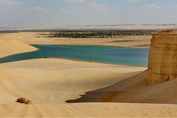 Full day tour to Fayoum Oasis