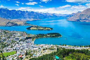 Arrival Private Transfer from Airport CHC to Christchurch in Business Car