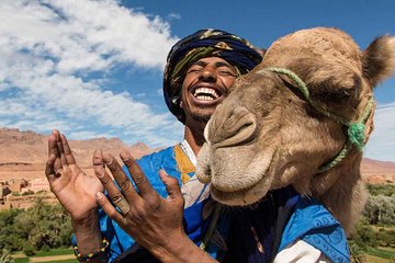 Marrakech Experience: PalmGrove Camel Ride Excursion