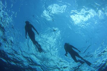 Private Snorkel Charter to the Key Largo Reef for Group up to 10