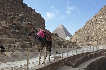 Turning into Pharaoh King while riding a Camel