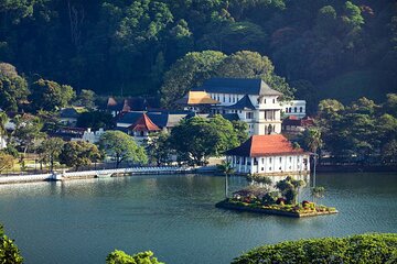 One Day Experience in Kandy (From Sigiriya)