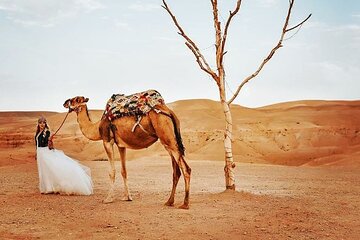  Marrakech: Dinner In Agafay Desert with Sunset and Fire show