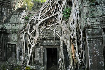 Guided Private A/C Vehicle Tour to Angkor Wat and Small Circle with Two Extras