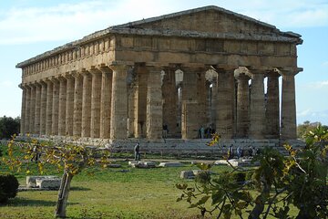 Pompeii and Paestum Fullday from Naples or Sorrento or Positano or Amalfi