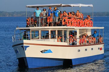 Whale Watching Boat Tour from Talpe