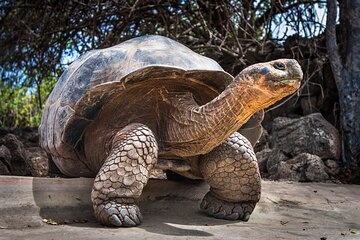 4 days Galapagos Essential Budget Tour