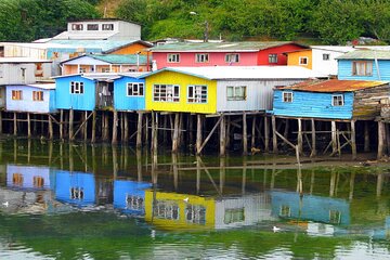 Full Day Ancud, Caulin and Penguin Colony