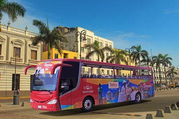 Panoramic Sightseeing Tour of Veracruz