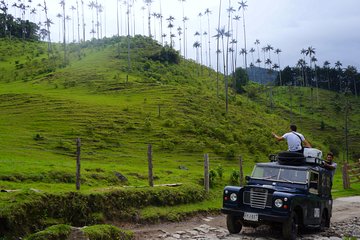 Full Day Tour of Cocora Valley, Salento, and Filandia Coffee Town (from Salento)