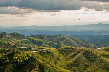 Full Day Tour of Cocora Valley, Salento, and Coffee Farm Tour (from Armenia)