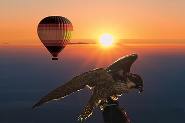 Amazing Hot Air Balloon With Beautiful Desert Sunrise View