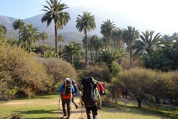 Private Full Day La Campana Hill Trekking Tour from Santiago