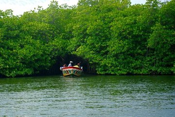 Bentota City Tour from Dikwella