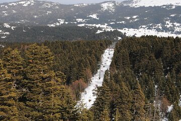 Green Bursa ~ Uludag Mountain, Guided Tour;Groups