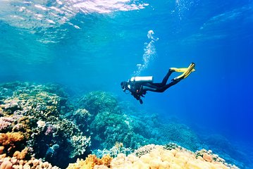 Full-day Red Sea Small-Group Diving Experience from Hurghada