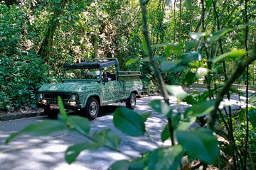 Jeep Tour - Tijuca Tropical Forest