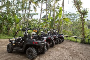 Indonesia: Bali ATV and Relaxation Ticket