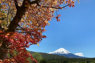 Mt Fuji Japanese Crafts Village and Lakeside Bike Tour