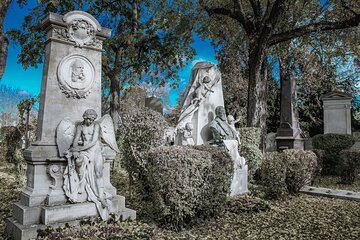 Magical central cemetery of Vienna