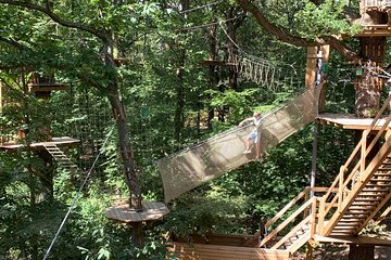 Tree Top Adventure in Forest of Meudon 