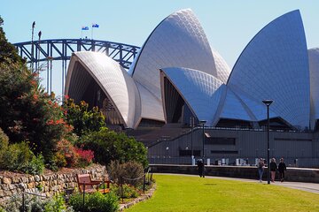 Quay People: Sydney Harbour Walking Tour with Aussie Treats