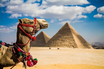 Amazing 2 Nights from Cairo Including Tours & 5 Stars Hotel 