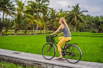 Half-Day Ubud Rice Field and Village Cycling Tour