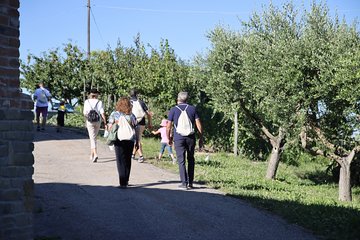 Tour of Castagnole Lanze with Tasting of wines and typical products