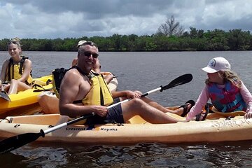 Guided Wildlife Eco Kayak Tour in New Smyrna Beach