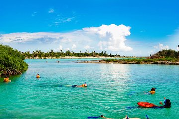 Riviera Maya Snorkeling Adventure: Lagoon, Cenotes Open & Cavern