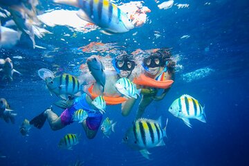 Private Catamaran to Isla Mujeres & Open Bar 