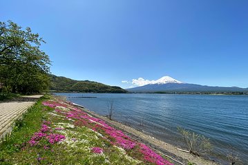 Mt Fuji Half-Day Tour By Car