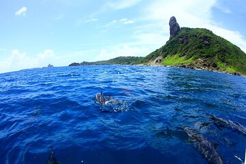 Boat trip in Fernando de Noronha