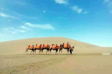 Silk Road 14-Day Muslim Tour from Beijing to Xinjiang, Dunhuang, Xian & Shanghai