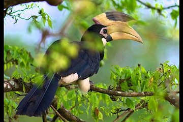 Bundala National Park Safari from Talpe