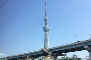 6-Hour-Tour Tokyo Highlights