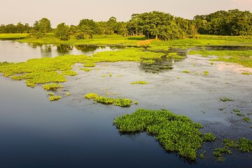 Day Trip to Majuli (Guided Private Tour from Guwahati)