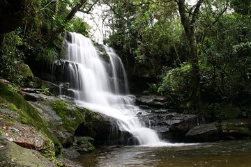 Day tour to “National Park Ybycuí”